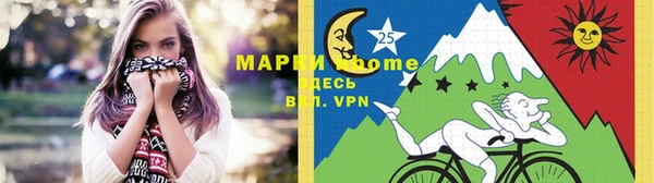 ПСИЛОЦИБИНОВЫЕ ГРИБЫ Новозыбков