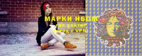 ПСИЛОЦИБИНОВЫЕ ГРИБЫ Новозыбков