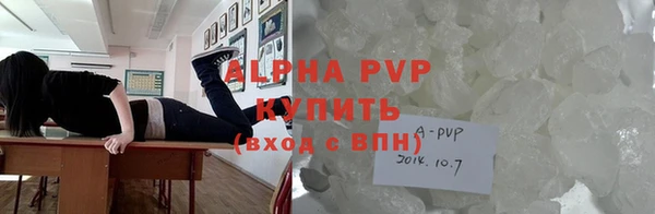 ПСИЛОЦИБИНОВЫЕ ГРИБЫ Новозыбков
