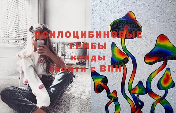 ПСИЛОЦИБИНОВЫЕ ГРИБЫ Новозыбков