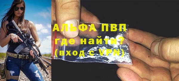 ПСИЛОЦИБИНОВЫЕ ГРИБЫ Новозыбков