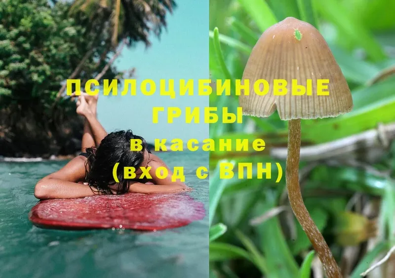 Псилоцибиновые грибы Magic Shrooms  Ревда 